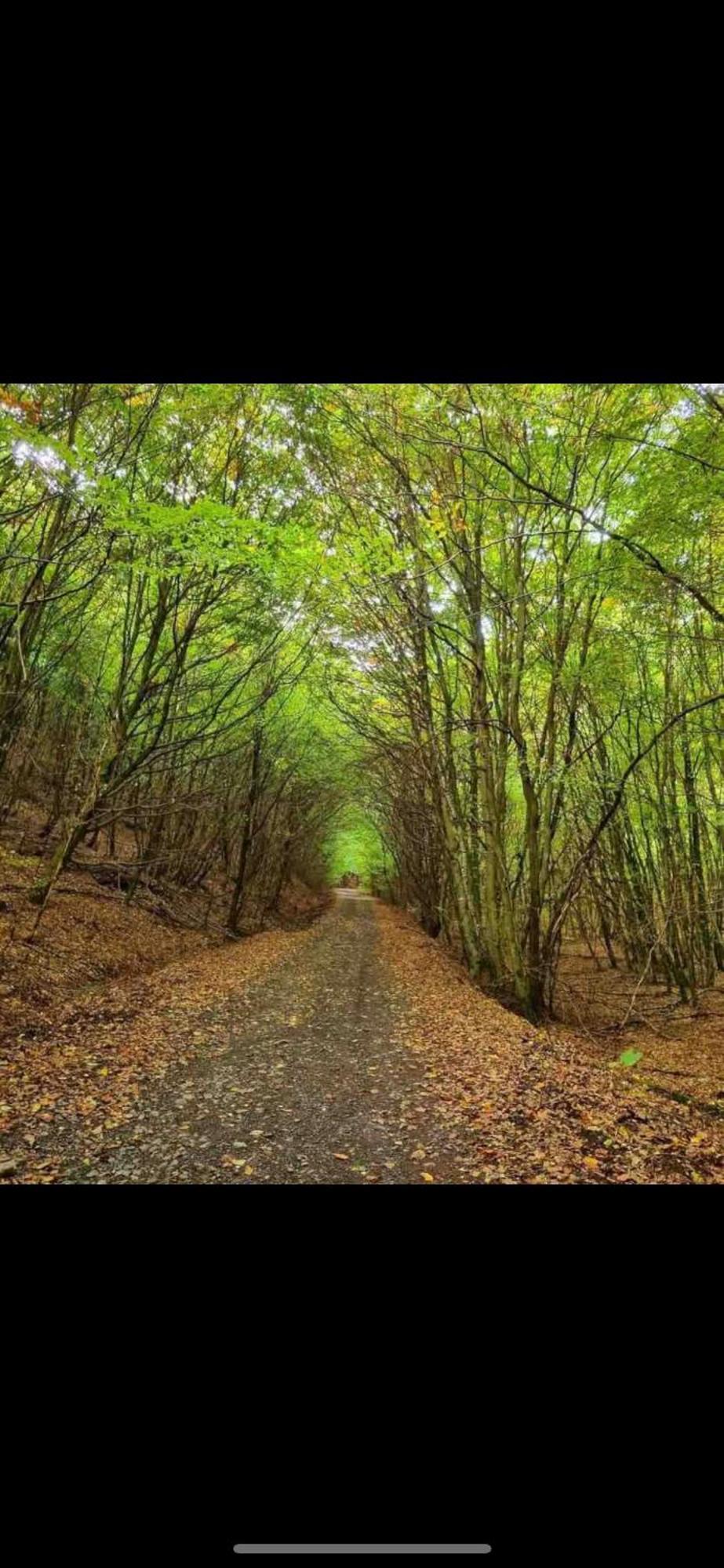 Se Relaxer Dans La Vallee Hombourg-Haut Extérieur photo